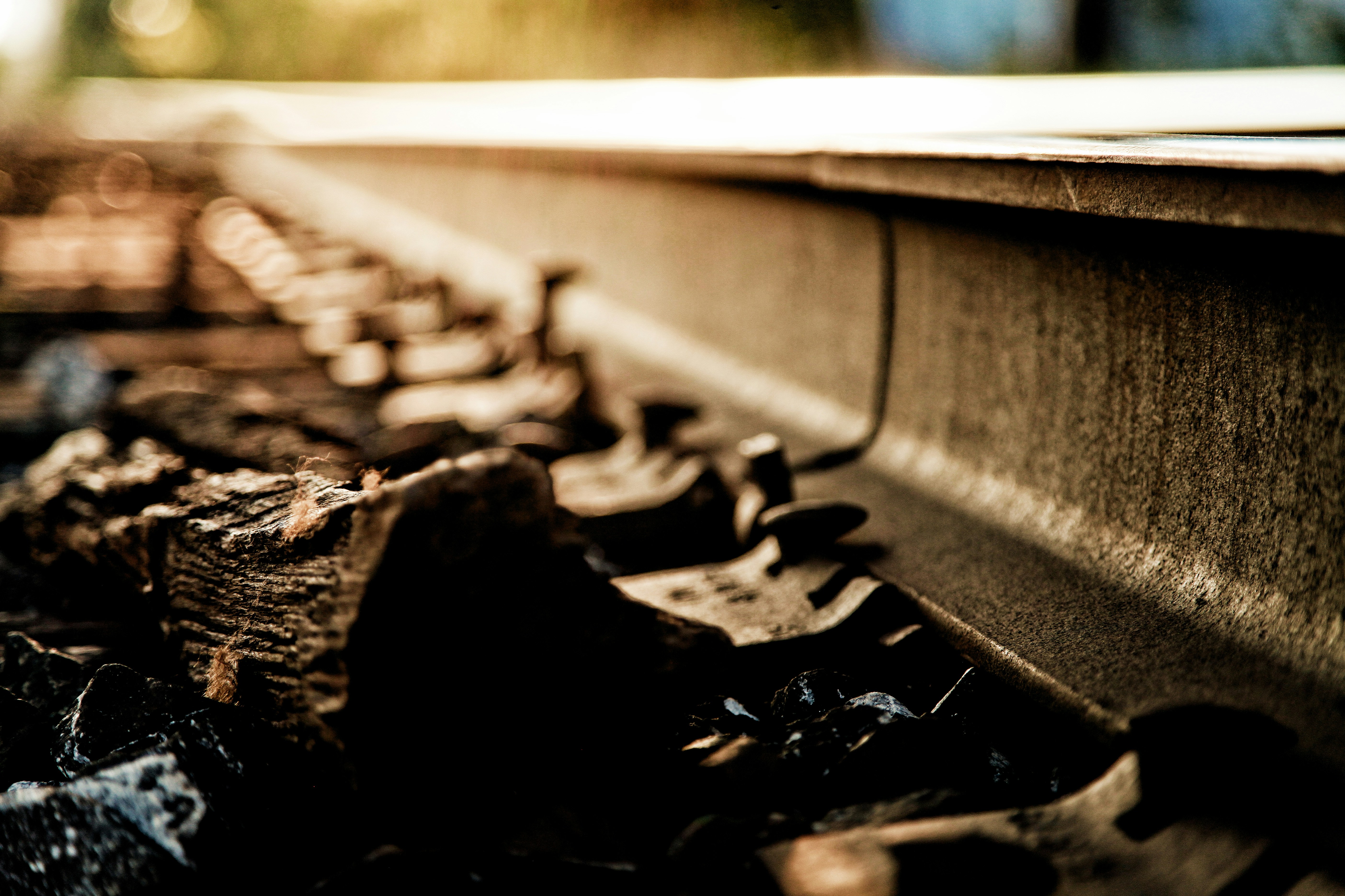 Photo by marshallsworld_