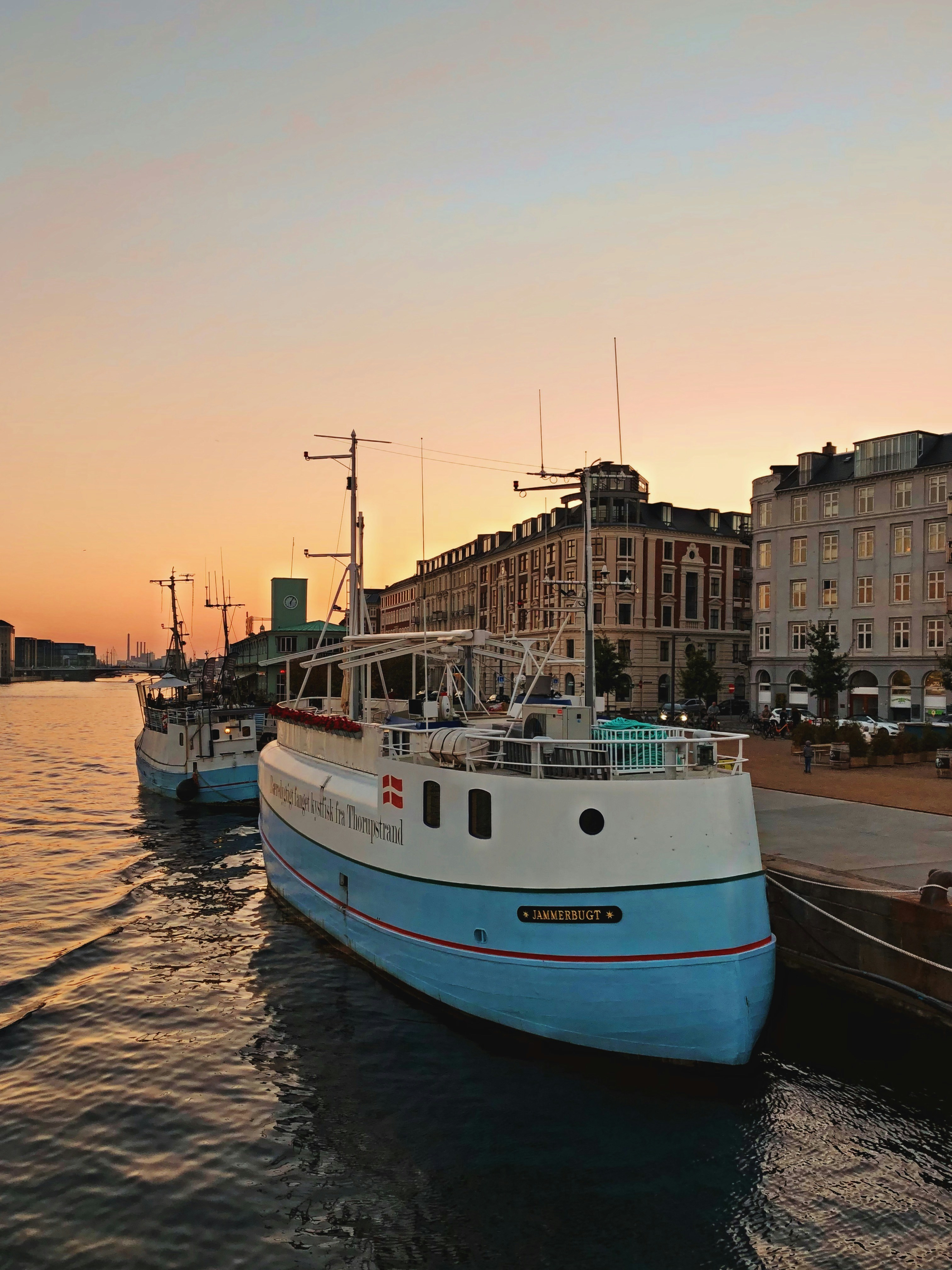 Photo by darias_big_world