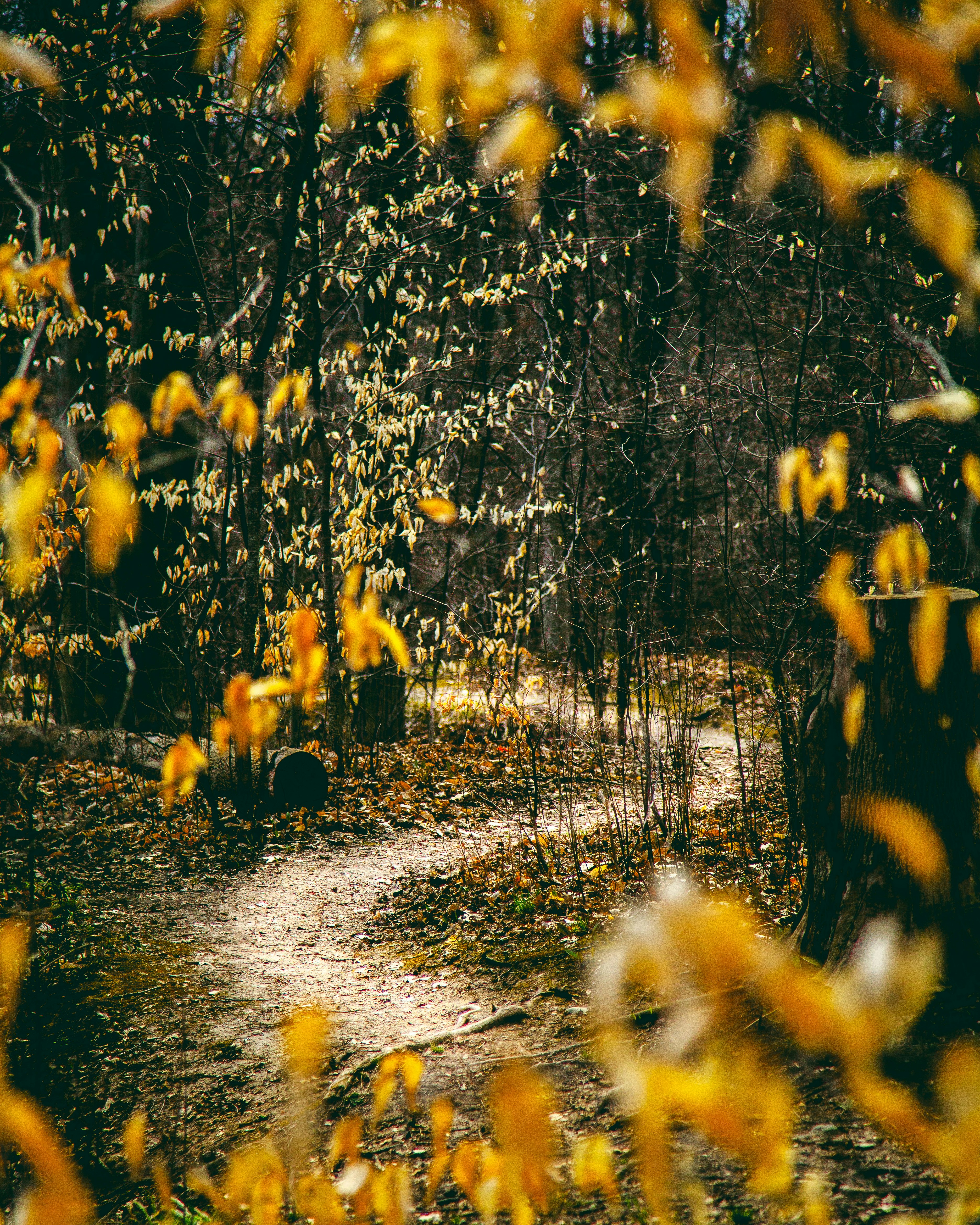 Photo by marshallsworld_