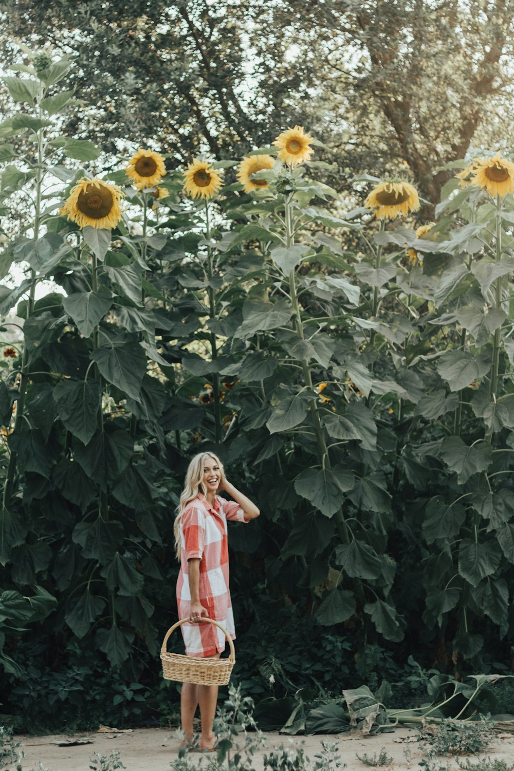 woman holding basket standing under sunflowers