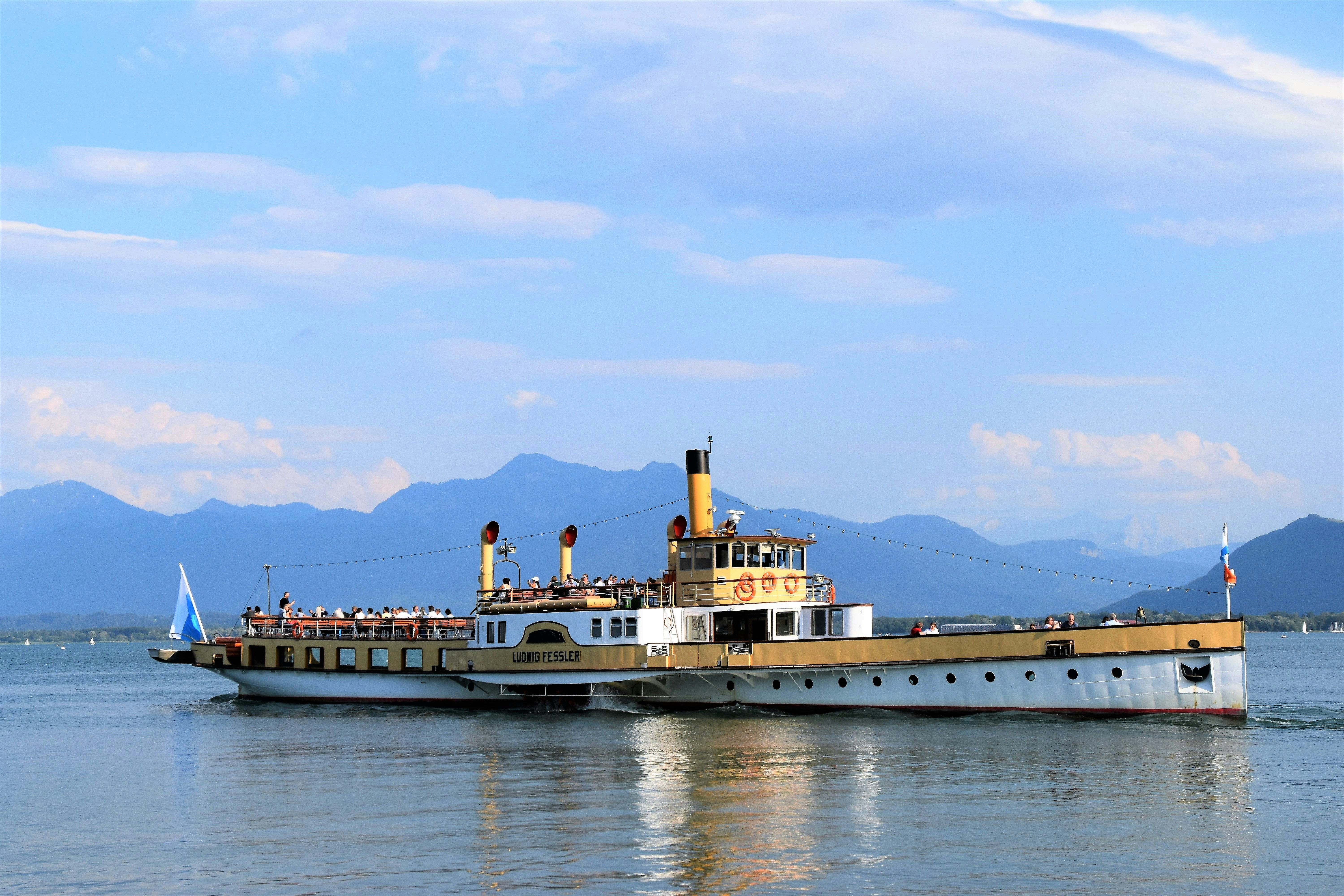 white and brown ferry in water