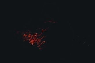 A series of swirling red light trails against a dark background, creating an abstract and dynamic composition.