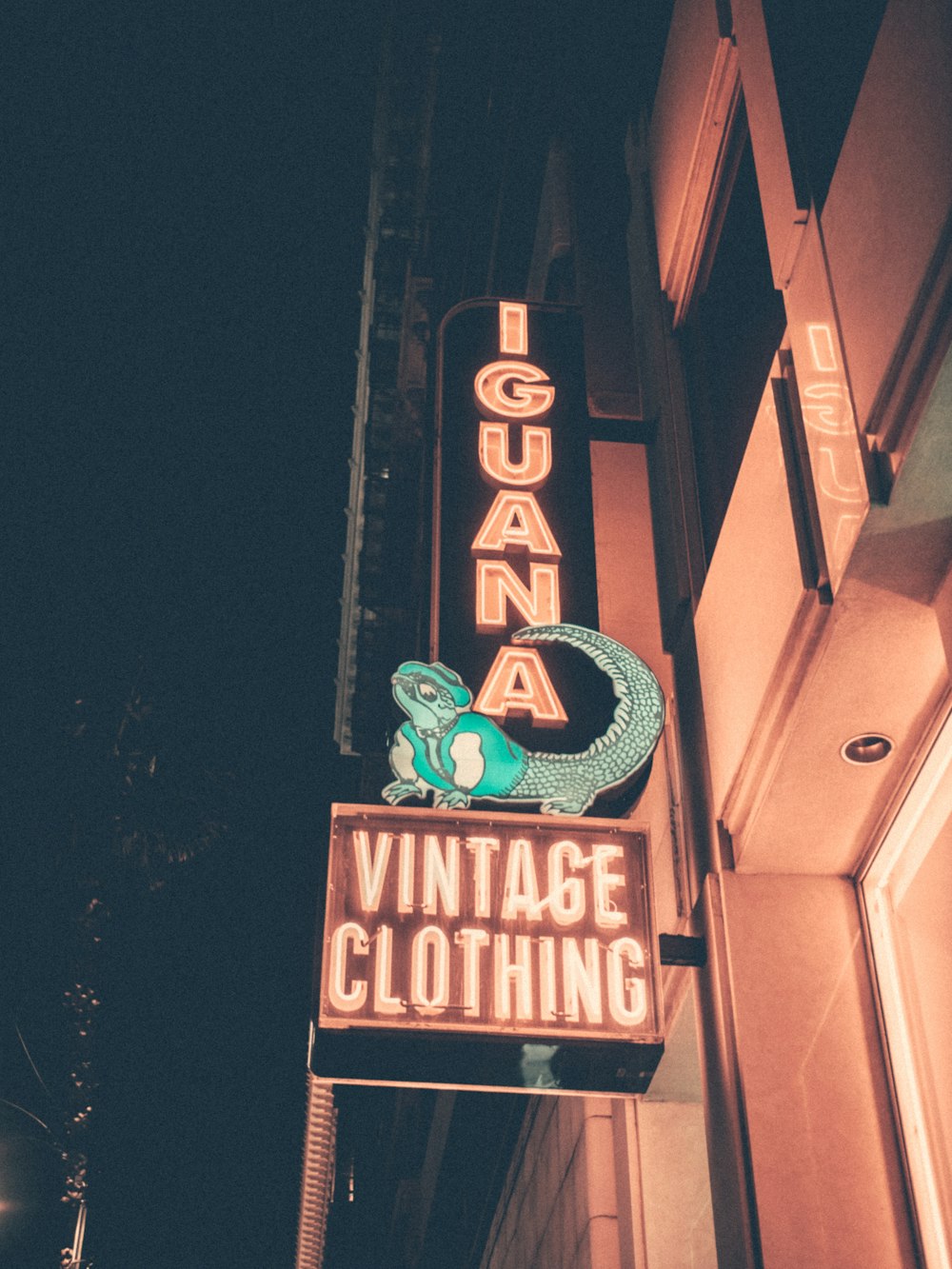 Sinalização de roupas vintage de Iguana