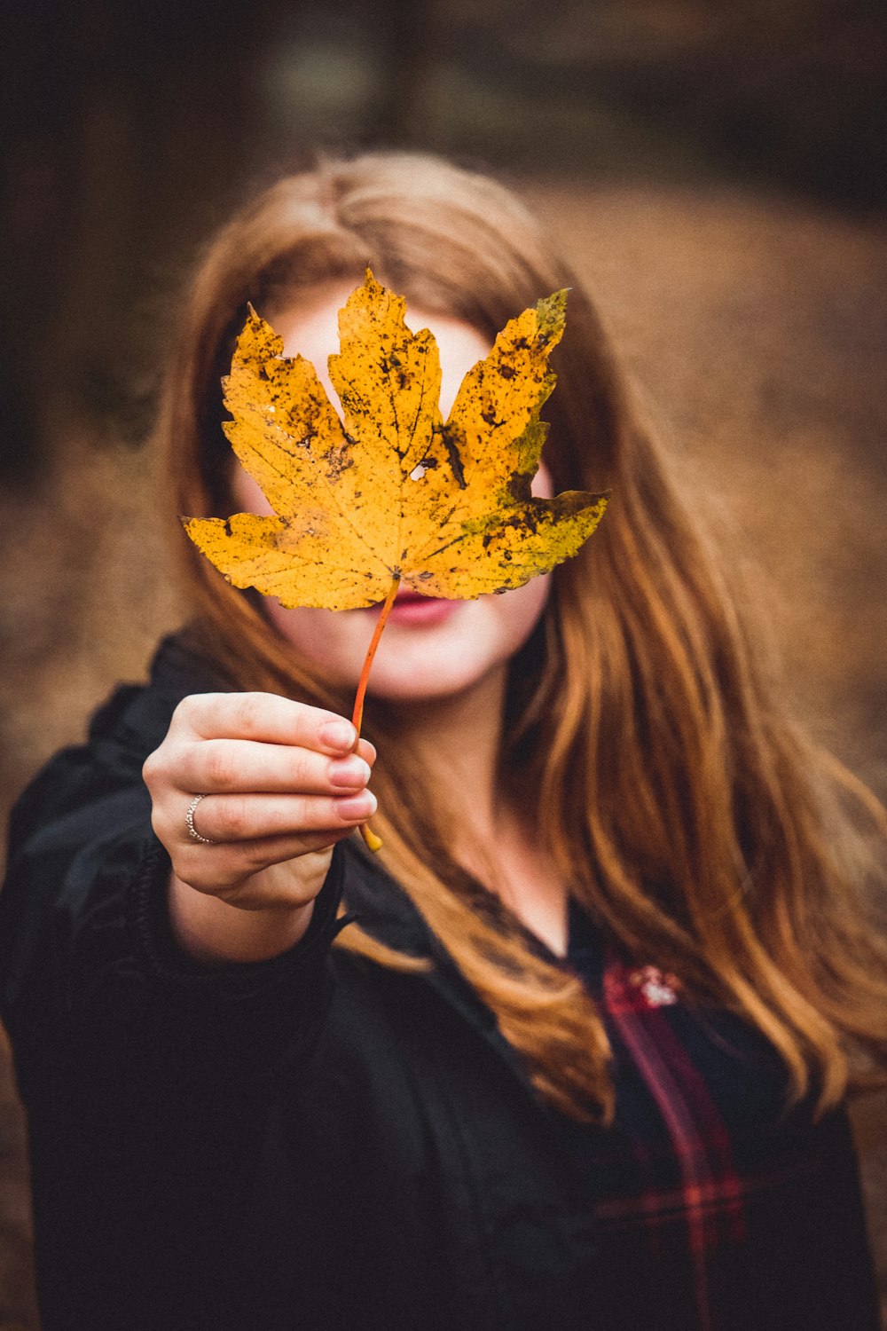 woman holding yellow leaf during daytime