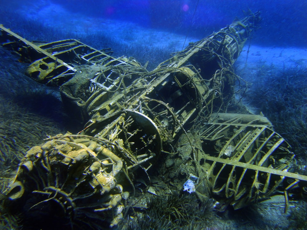 brown airplane under water