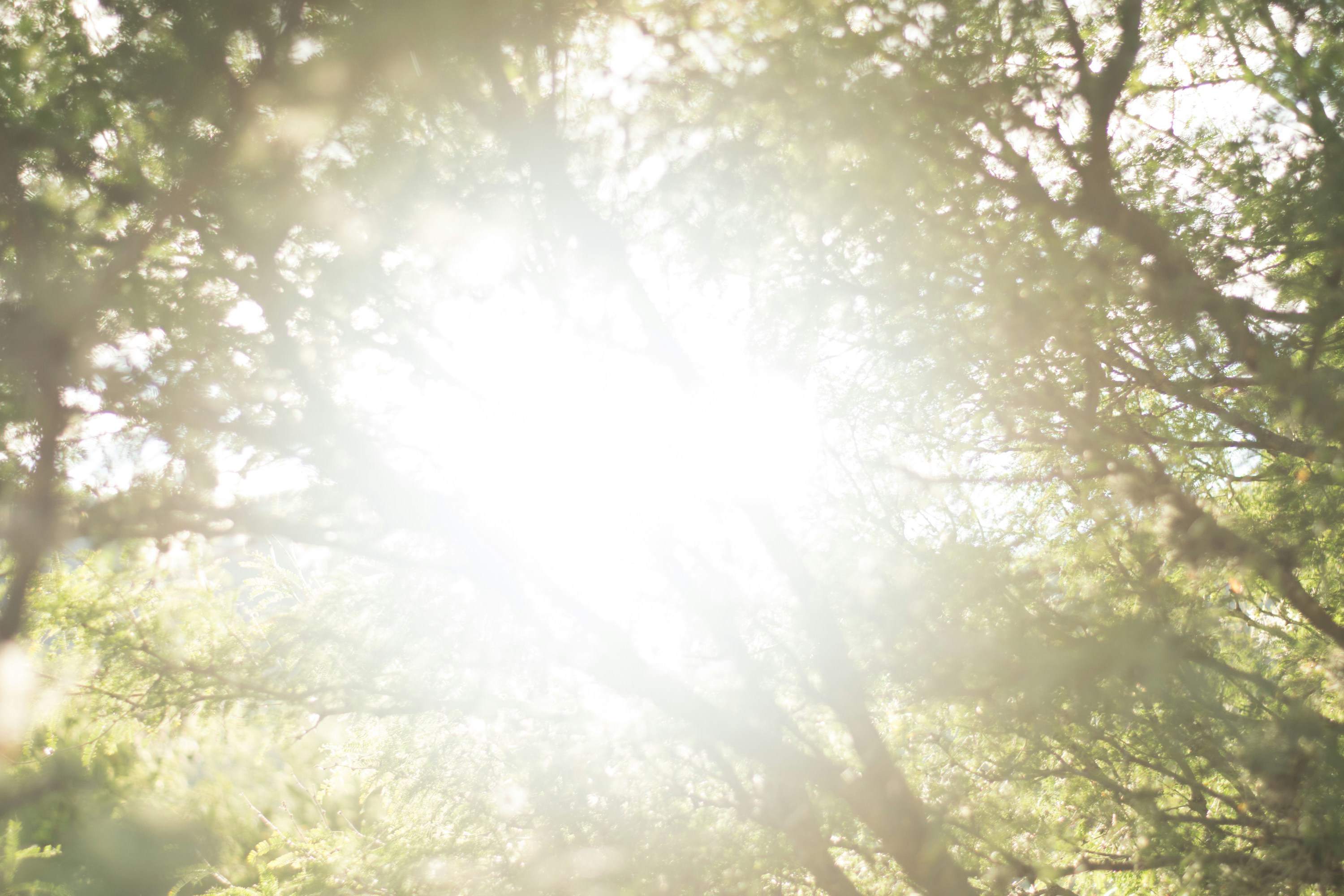 Photo by carlos_maya