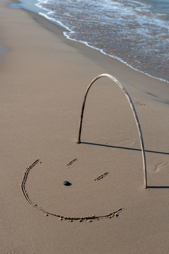 grey stick forming u letter on the seashore in Warren Dunes State Park United States