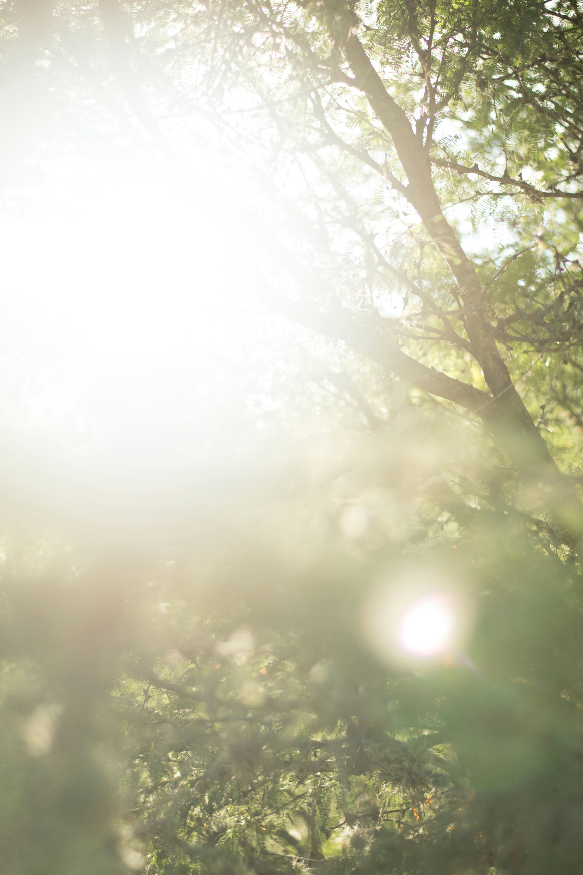 Photo by carlos_maya