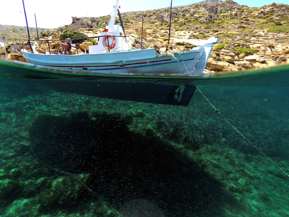 barca bianca sullo specchio d'acqua durante il giorno