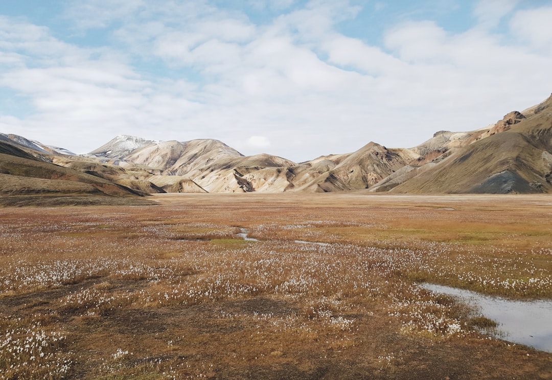 Tundra photo spot Friðland að Fjallabaki Sólheimajökull