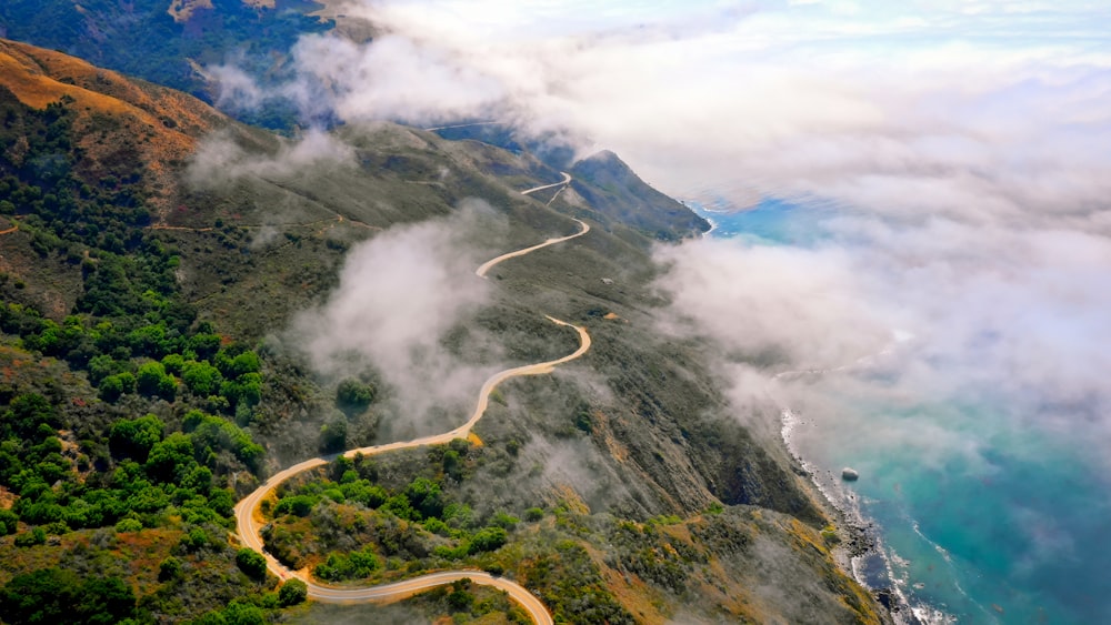 fotografia de alto ângulo de árvores perto da estrada