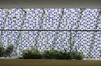 green plants in front of white and blue wall