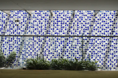 green plants in front of white and blue wall