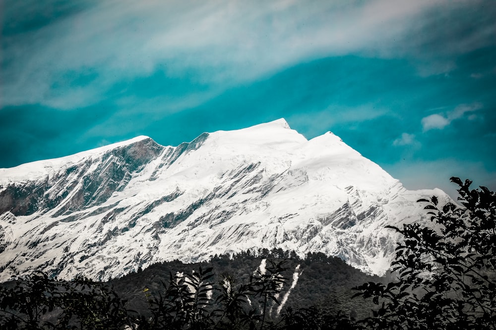 snow covered mountain