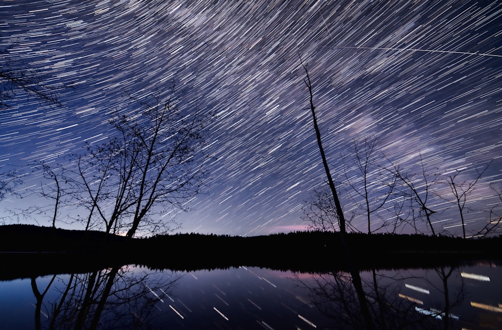 silhouette of trees and mountain during night time