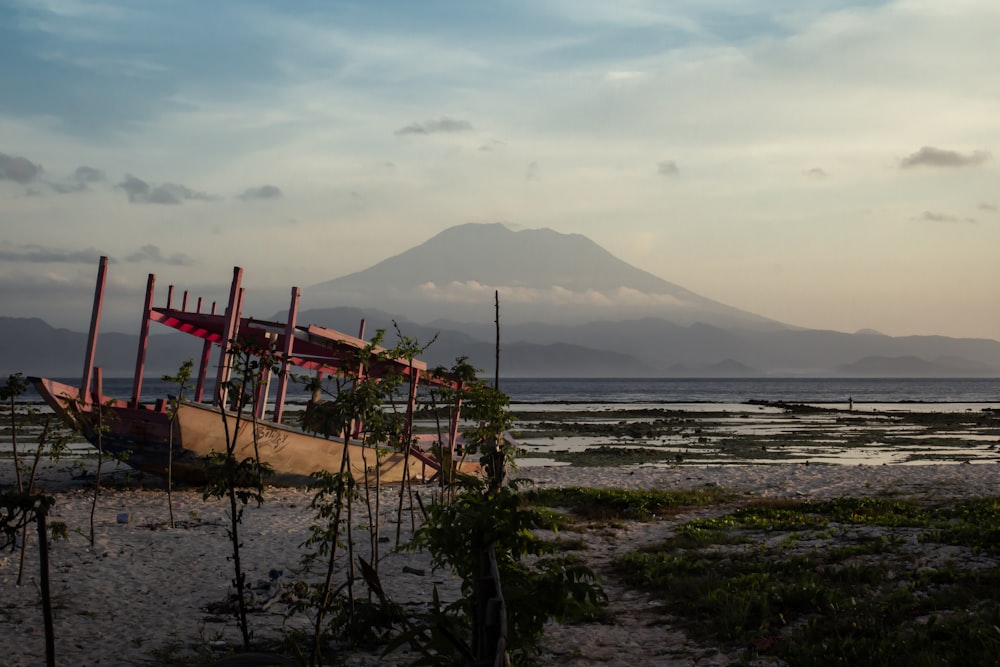 brown boat parked on seashore