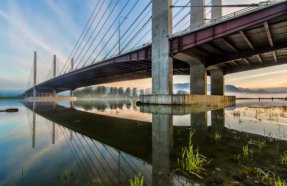 bridge during daytime