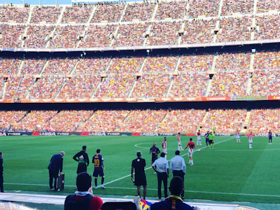 Torres Puts Spain on Top of the World La Roja Outlast 10-Man Argentina in Extra Time