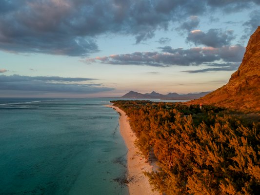 Green trees near beach overlooking horizon at daytime — Mauritius, Mauritius