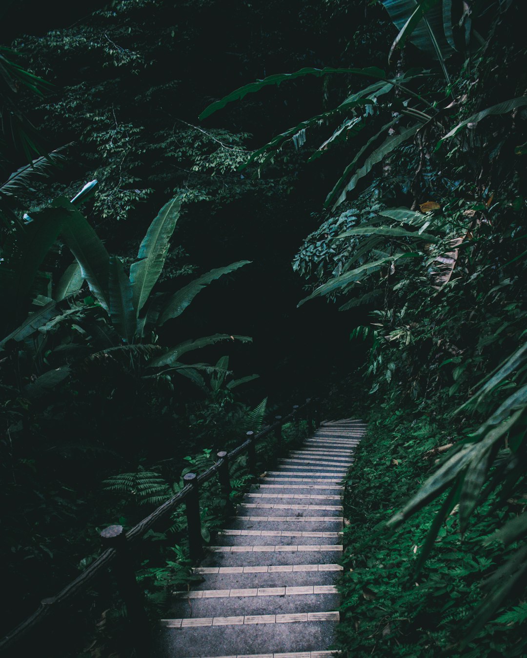 Forest photo spot Sungai Gabai Waterfall Setapak