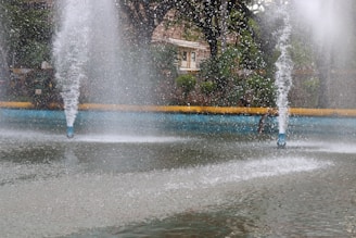 Multiple fountains spraying water into the air, surrounded by a pool of water. Trees and shrubbery in the background with a stone structure partially visible.