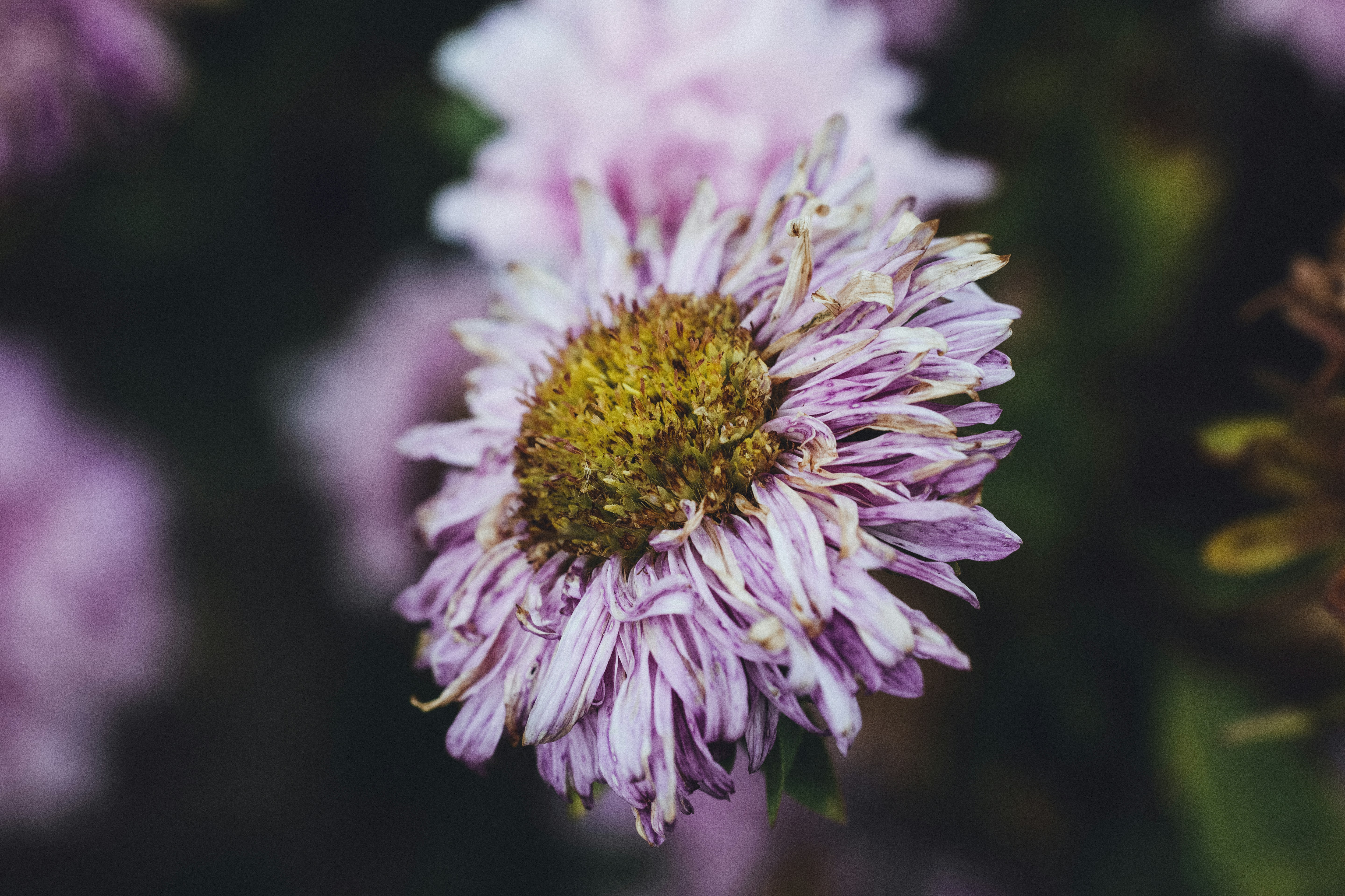 Photo by markusspiske