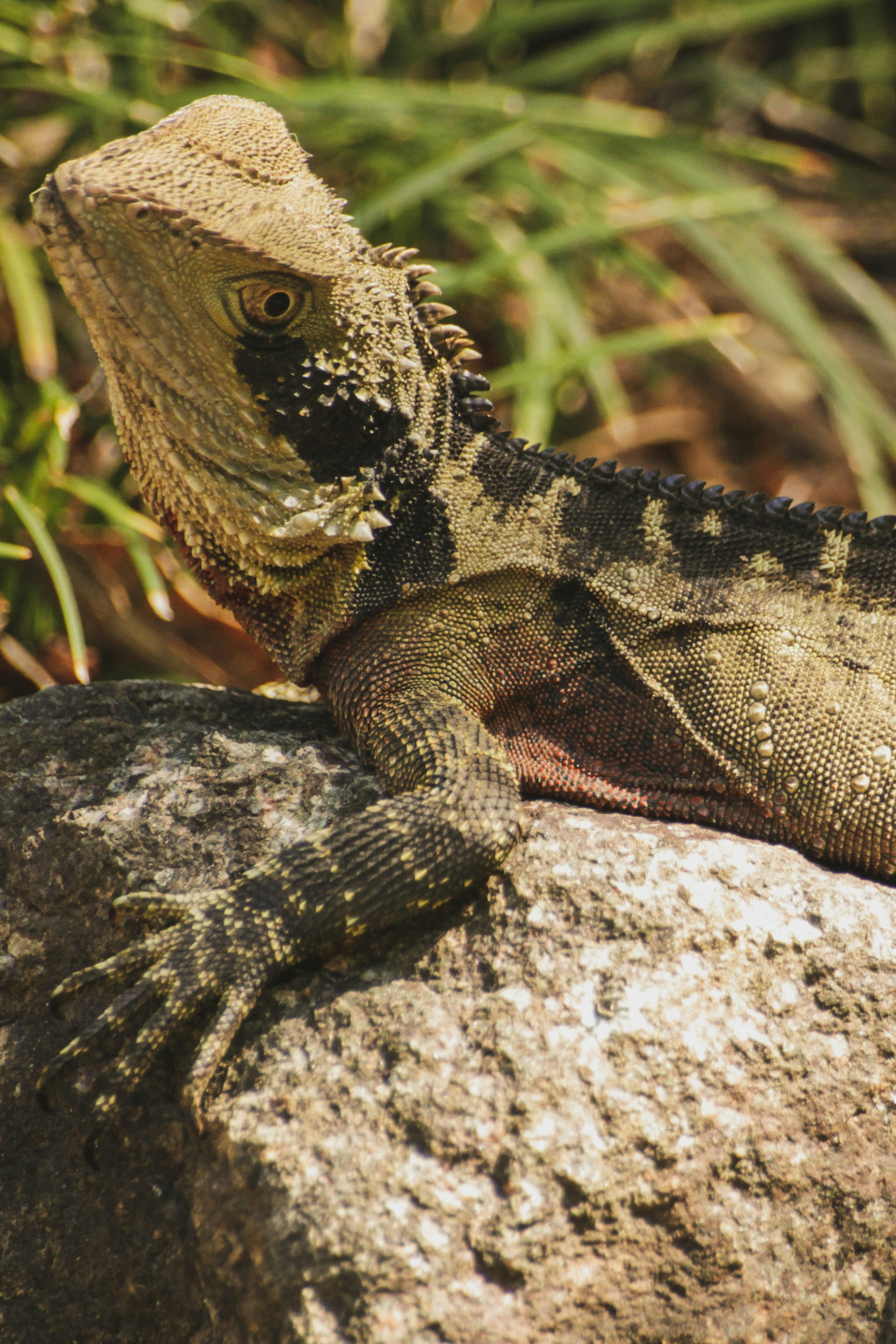 Photo by urbanpiction