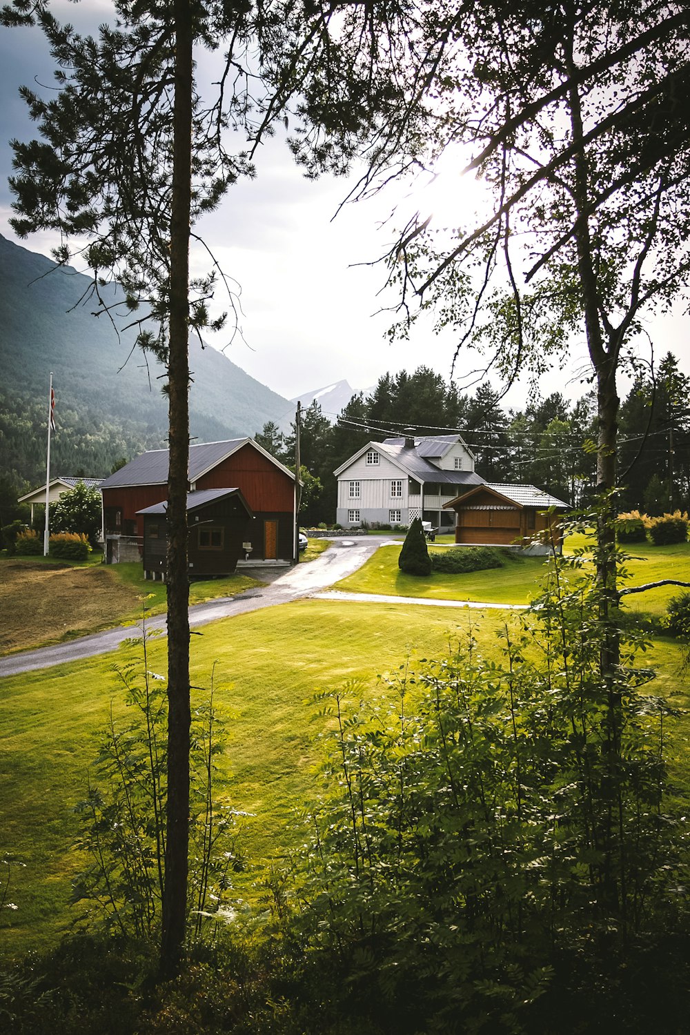 houses in middle of grass field