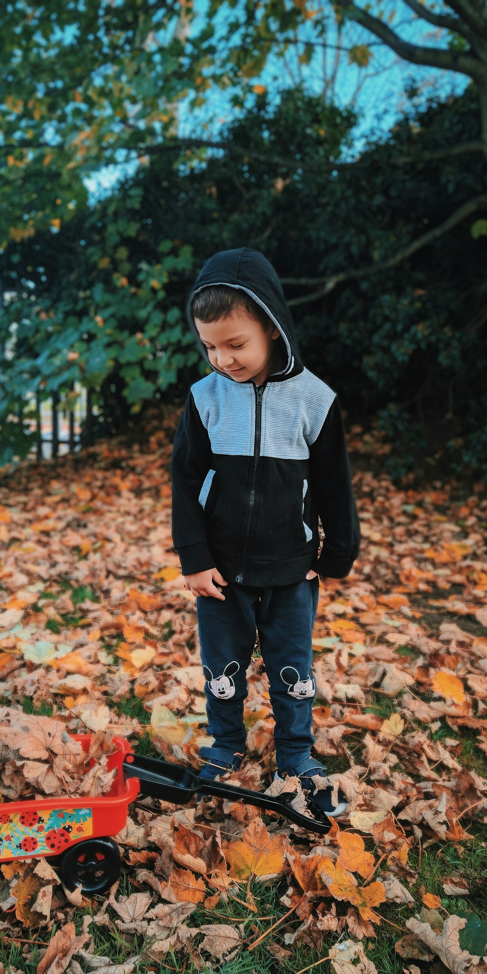 boy standing on dried leaves