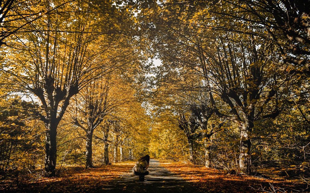 travelers stories about Natural landscape in Karosta, Latvia