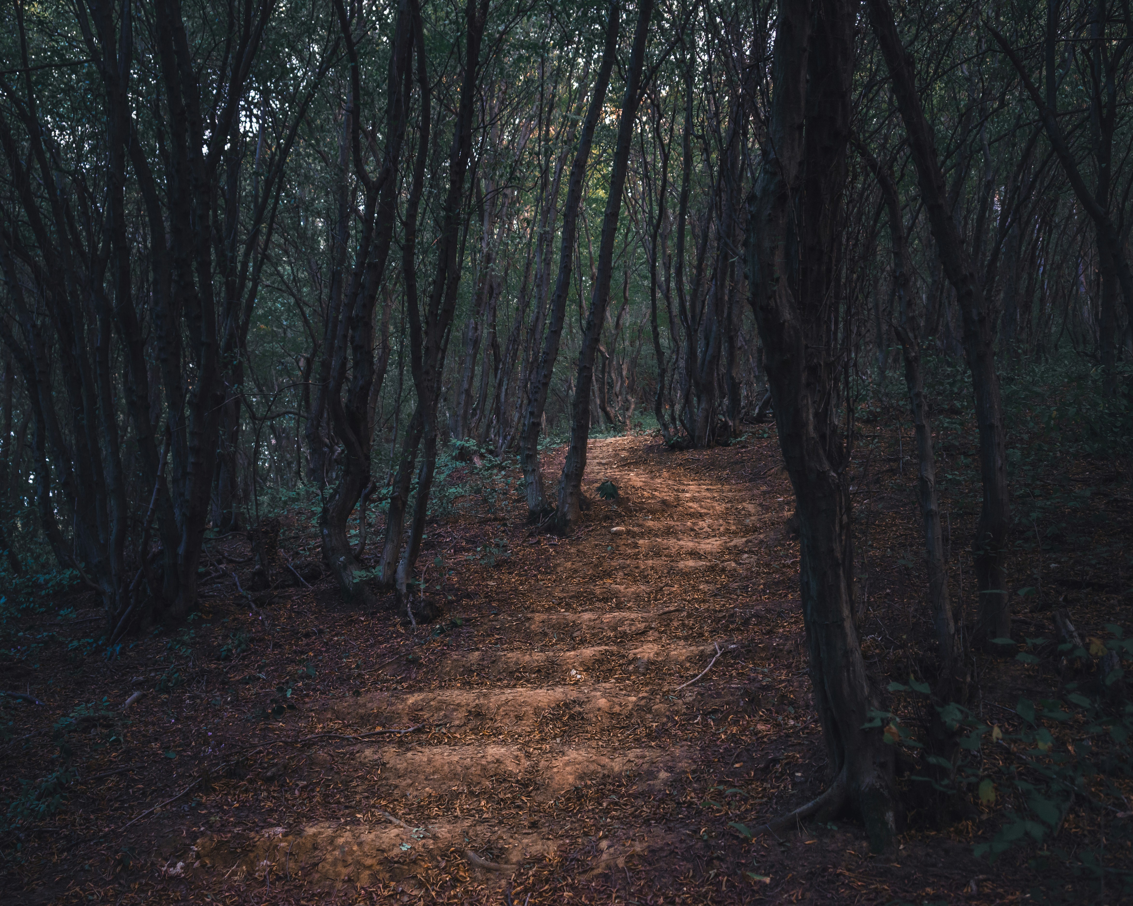 Photo by a_dzhingarov