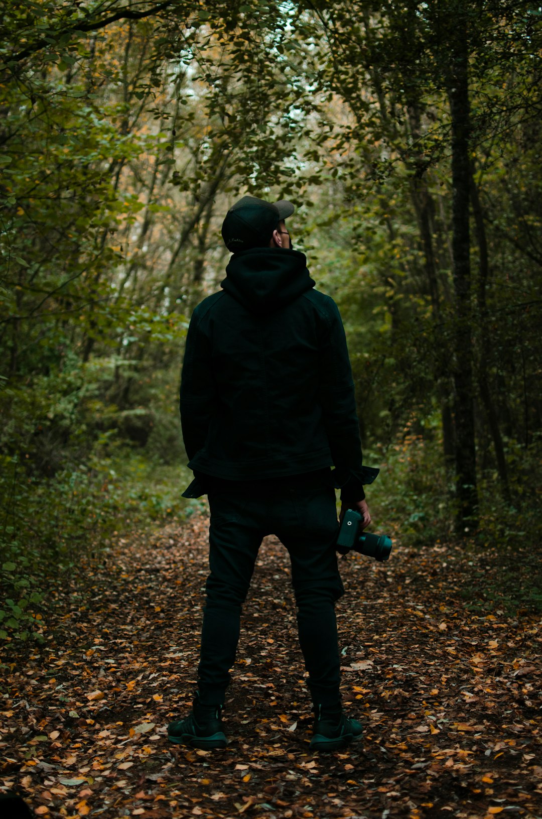 photo of Kortrijk Forest near Broeltorens