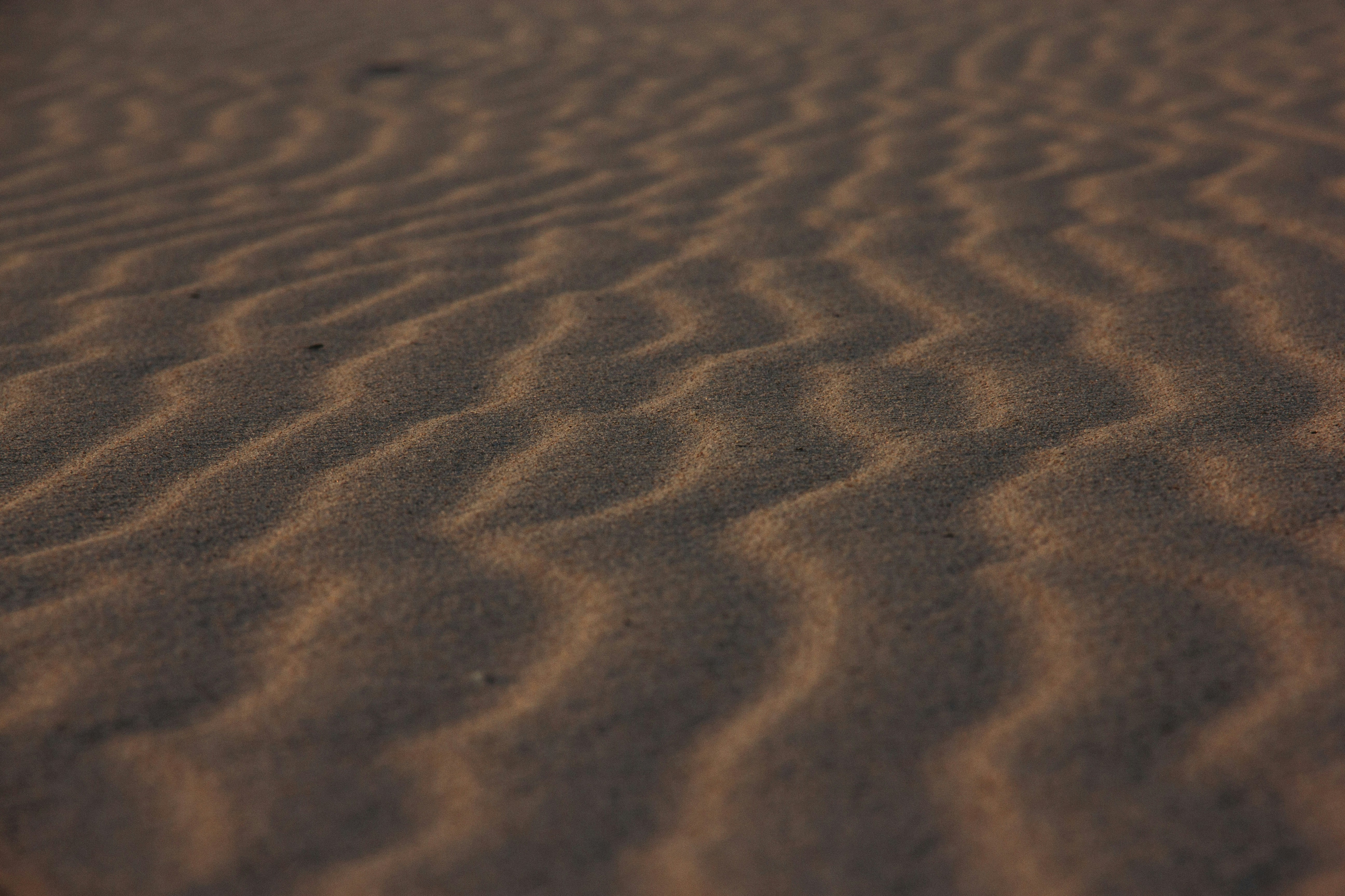 Photo by benjamin_le_roux