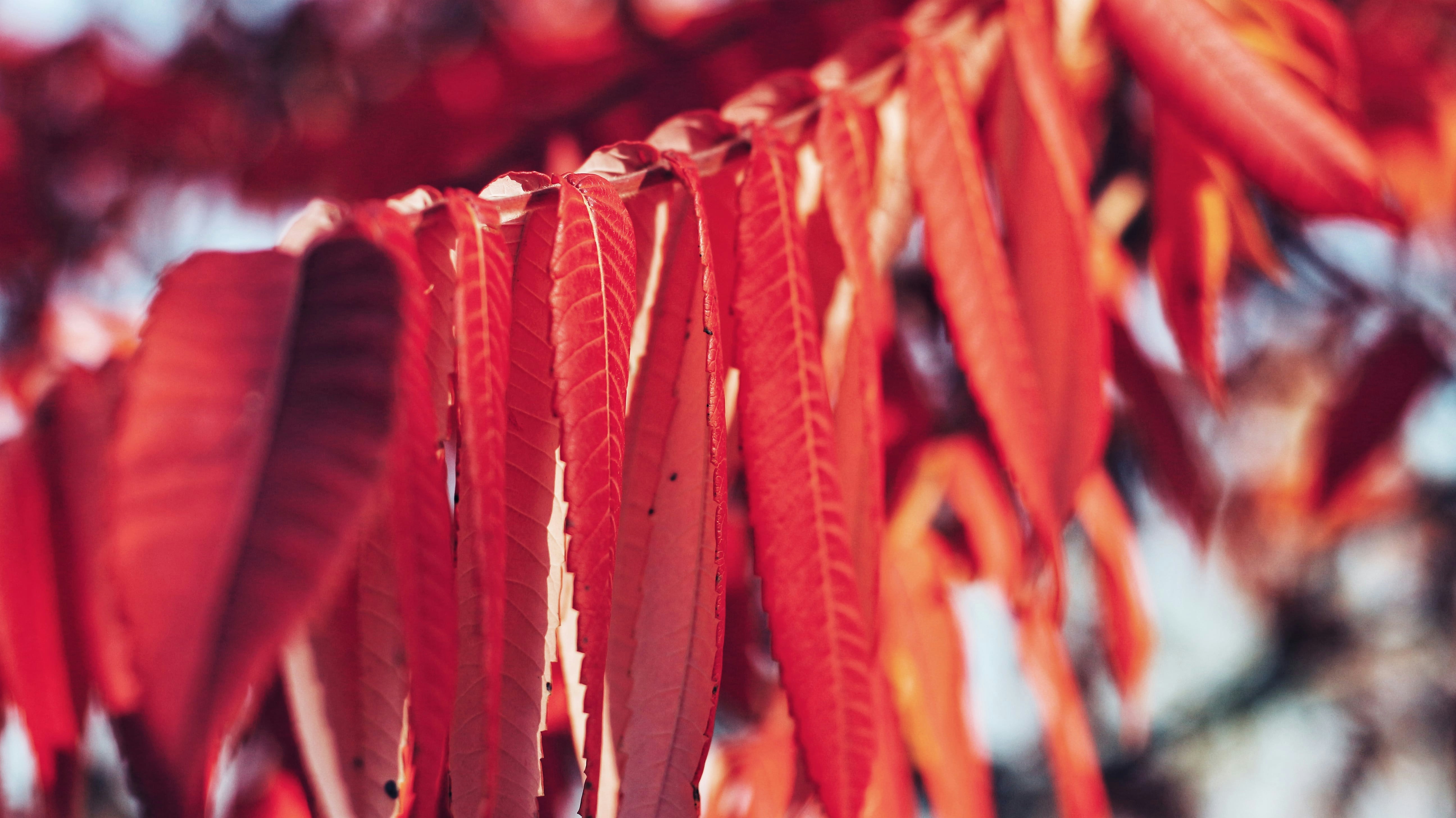 Photo by frank_dudek