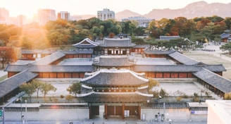 aerial photography of gray and black house