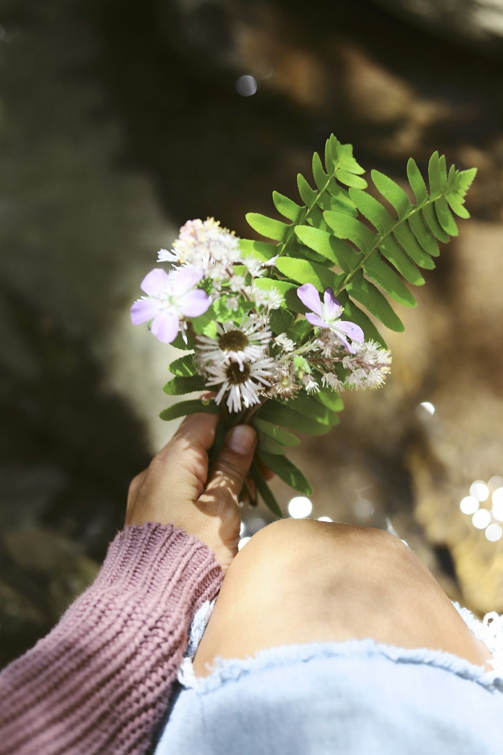 person holding white and purple flowers