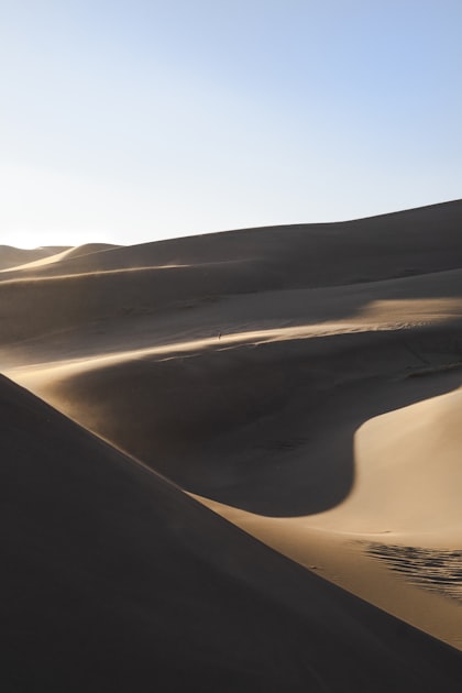 Sweeping golden desert landscape with dramatic sand dunes stretching to the horizon under a warm sky