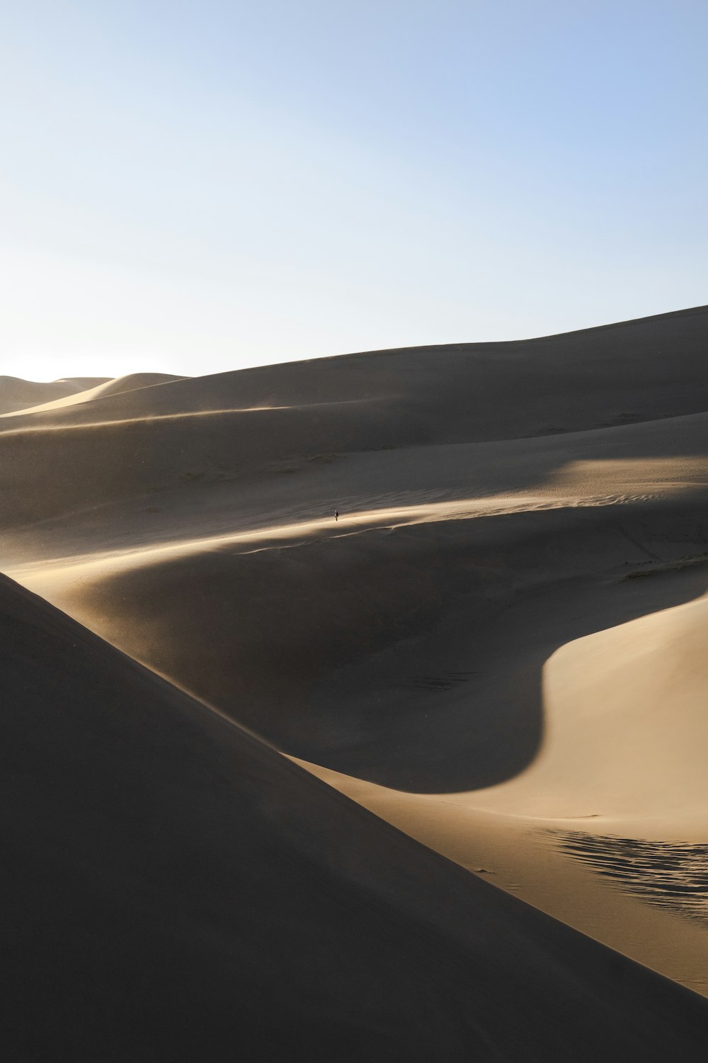 Photographie de landscsape de champ désertique