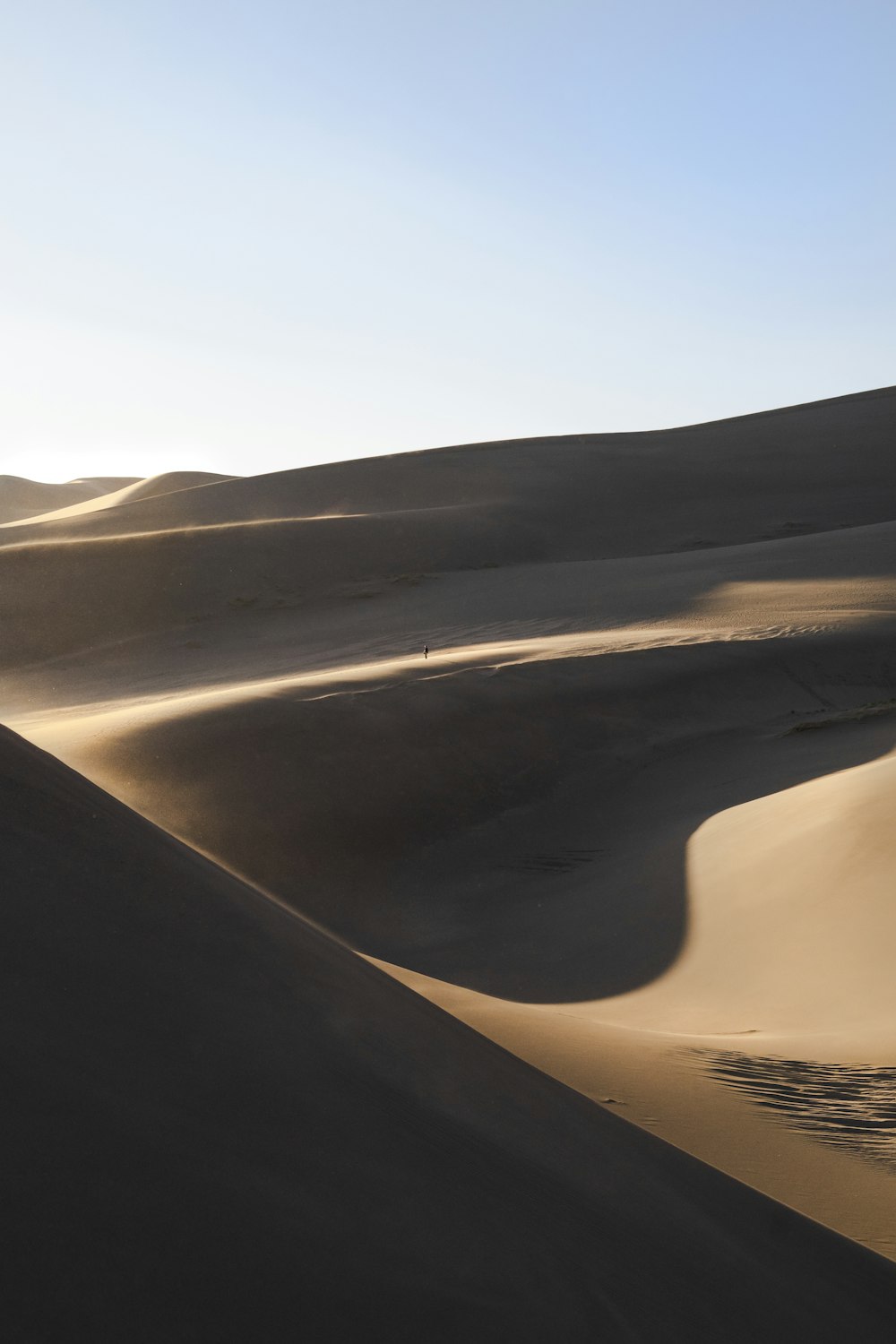 landscsape photography of desert field