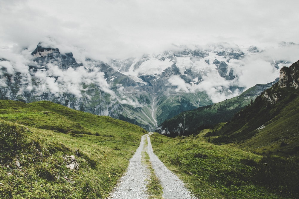 grass field pathway