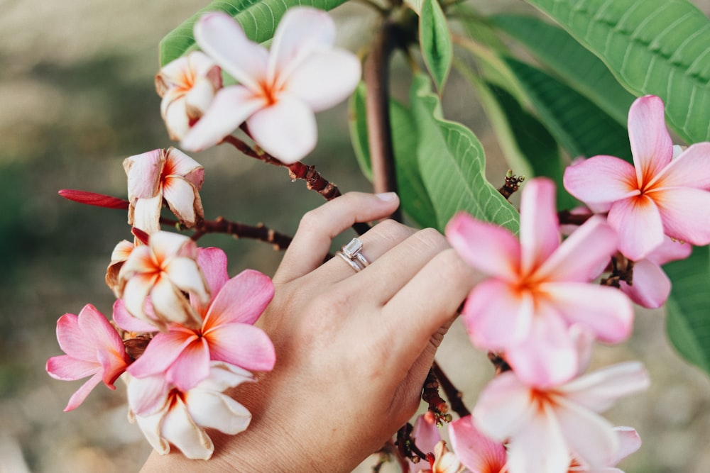 woman touching plumeria flower