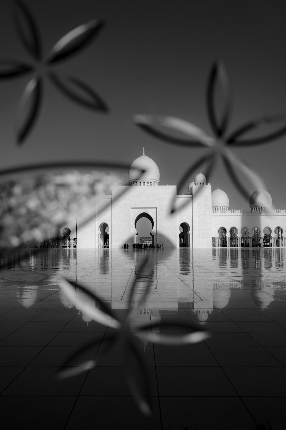 photographie en niveaux de gris du Taj Mahal