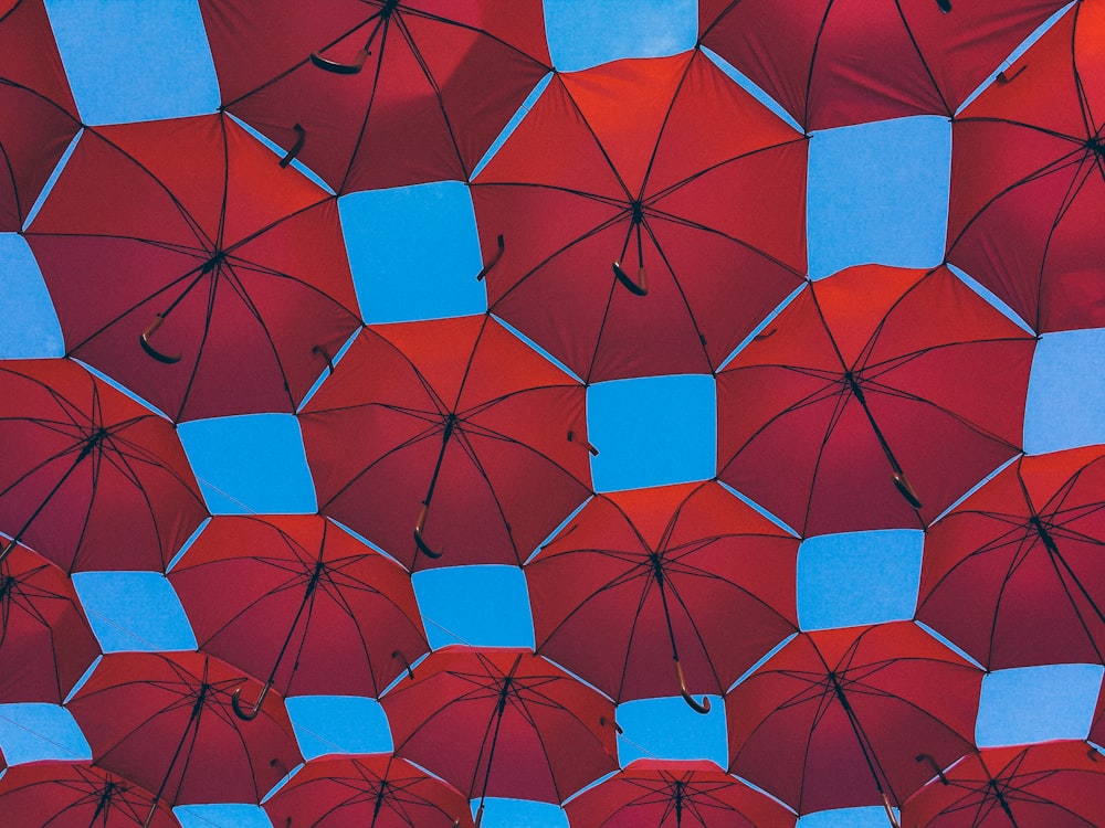 Lote de paraguas rojo