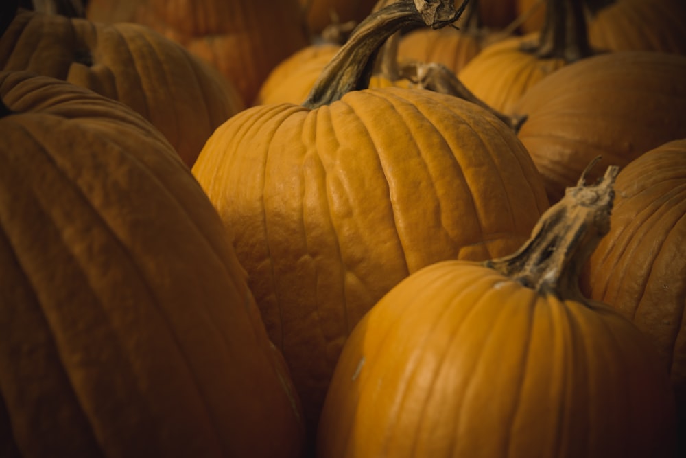 pumpkin lot