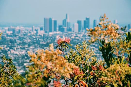 garden view with overlooking cityscape in Griffith Observatory United States