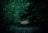 A dark, eerie forest path illuminated by a faint moonlight, creating a suspenseful atmosphere.