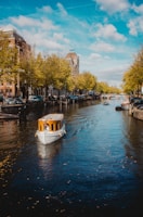 white boat on body of water near green trees during daytime