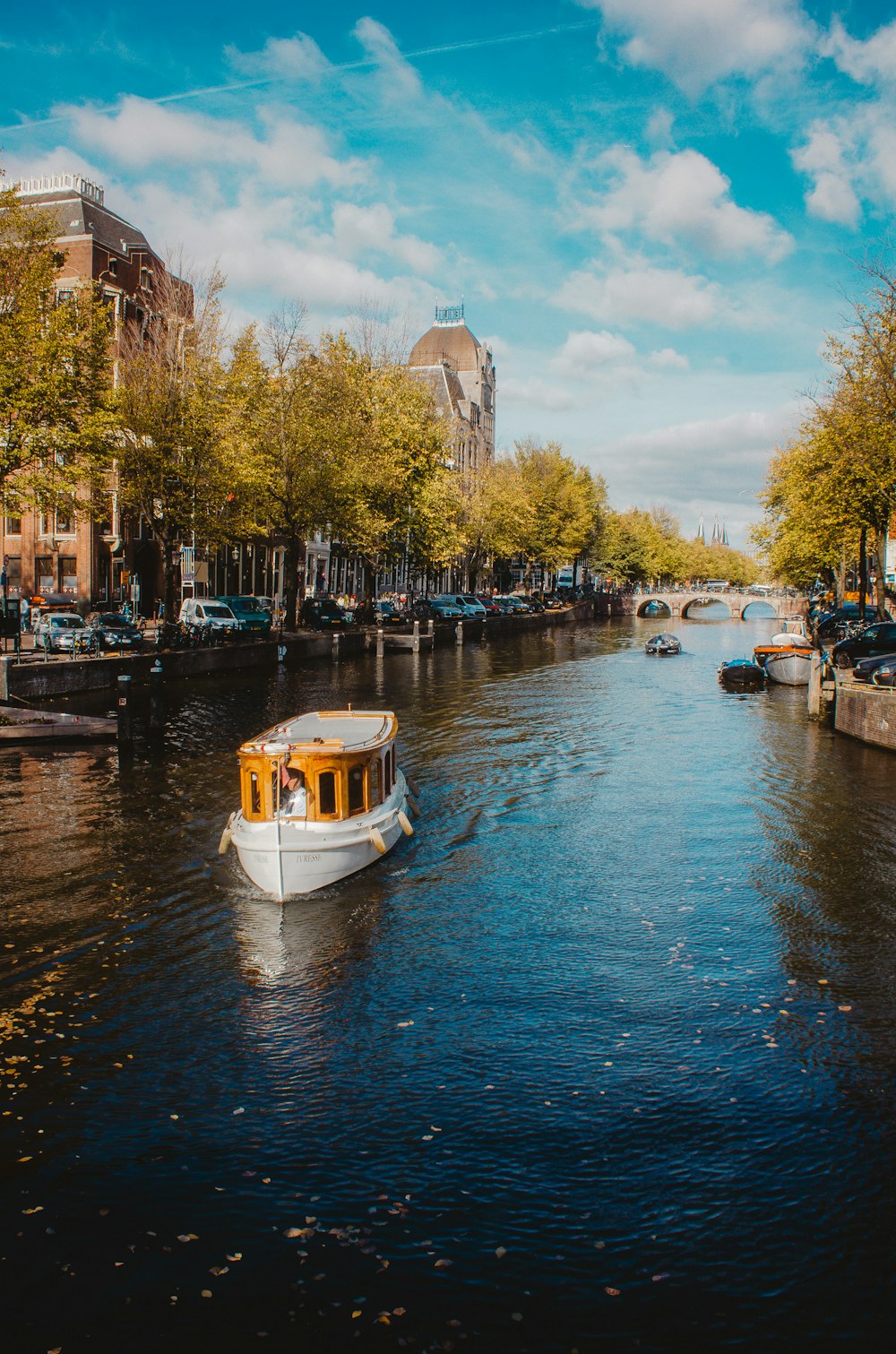 white boat on body of water near green trees during daytime