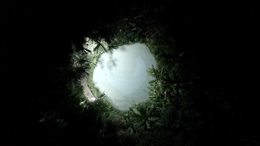 high-angle photography of body of water surrounded by trees