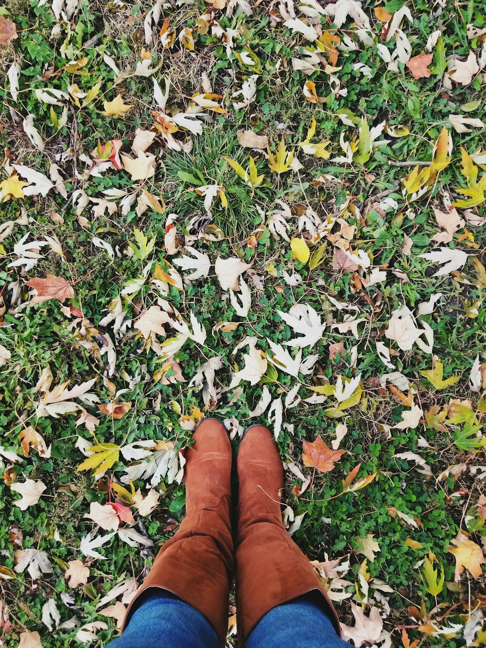 person standing on grass field